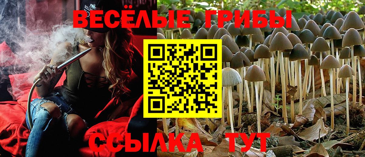 Псилоцибиновые грибы GOLDEN TEACHER Егорьевск