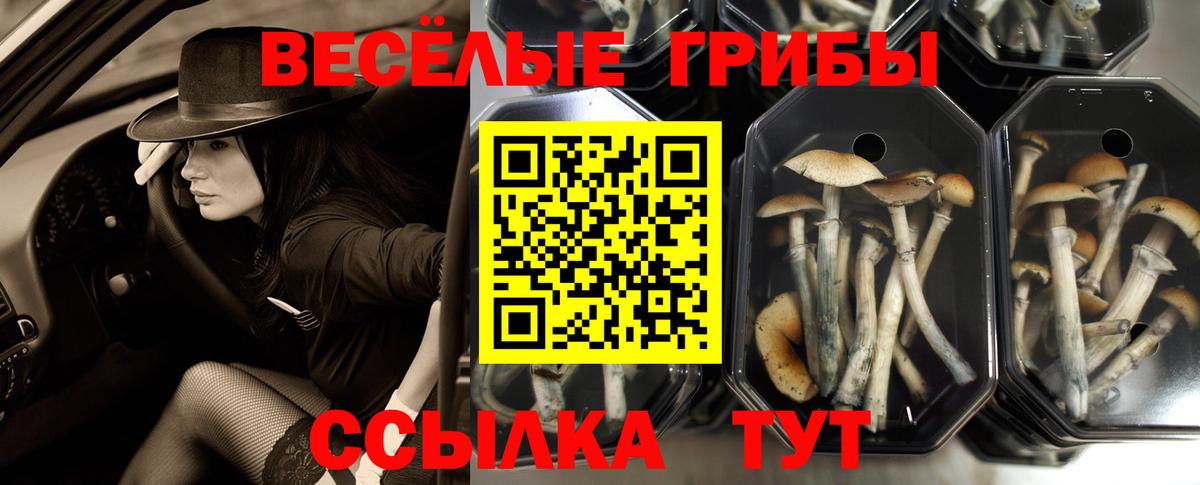 Галлюциногенные грибы мухоморы  Вход с VPN  купить наркоту  Егорьевск  Псилоцибиновые грибы Psilocybine cubensis 